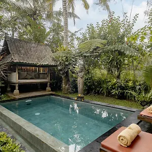 Moringa Ubud