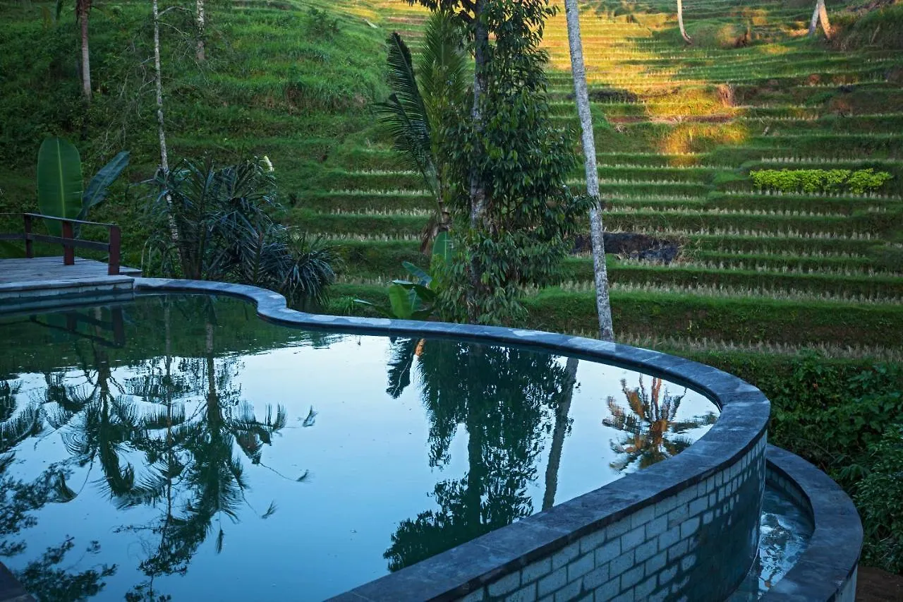 Be Bali Stay Ubud  Villa
