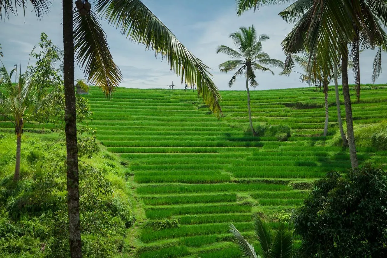 Be Bali Stay Ubud